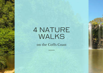 4 Nature Walks on The Coffs Coast